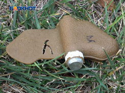 Пруд Песчаный в Кировском районе Донецка оказался заминирован «лепестками»