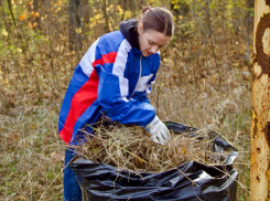 В День народного единства молодежь привела в порядок парк им. Пушкина на Азотном в Донецке