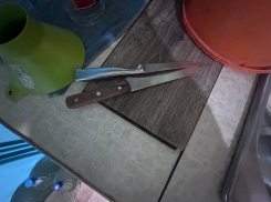 Пьяная дончанка пырнула сожителя ножом в грудь