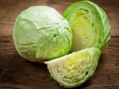 Аграрии ДНР ежегодно собирают до 800 тонн капусты