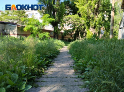 После публикации в «Блокнот Донецк», во дворе по Университетской в центре города начали косить траву