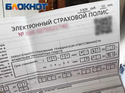 Решение отсрочить применение закона об ОСАГО в ДНР поддержали в Народном совете 