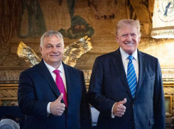 Путин и Трамп встретятся в Будапеште после освобождения Покровска – инсайд