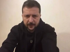 Сделал жертвой Габбард и удалил Трампа: политическая проститутка Зеленский продолжает продавать за доллары Украину