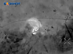 Боевая работа фронтового кота попала на видео российских дроноводов в зоне СВО