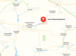 Коллапс ВСУ перед саммитом мира в Швейцарии: Новоалександровка и Новопокровское под контролем России