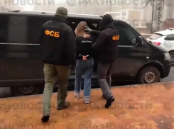 18-ти летняя разведчица ВСУ задержана в Волновахе 