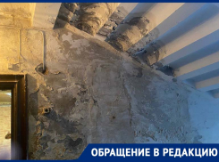 Царство плесени: в многоквартирном доме Донецка уже год текут трубы в подъезде