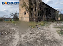 «Видишь, труп лежит? К нему езжай прямо»: эксклюзивные кадры из Красногоровки 