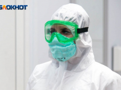 Неизлечимый вирус Чендипура атаковал Индию: доберется ли он до России