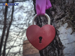 Срок ожидания регистрации брака в ДНР могут сократить до десяти дней