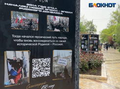 Проект «20:14»: в Донецке открылась обновленная выставка на бульваре Пушкина