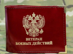 «Нужно менять закон»: Денис Пушилин поручил  разобраться в причинах, по которым защитники Республики не могут получить удостоверение ветерана боевых действий