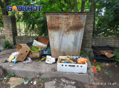 Антисанитария у закрытого магазина: жители жалуются на гниль и вонь у «Авоськи»