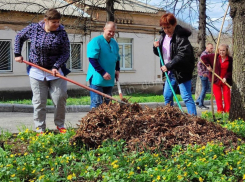 До десяти тысяч дончан вычищали город
