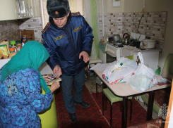 Инспекторы госпожнадзора ДНР отмечают 96-летие создания службы: задача – предупредить и защитить
