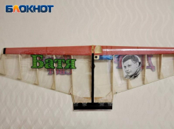 Самолеты  с портретами героев ДНР изготовили в авиаклубе Нового Света