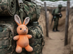 Детский плюшевый заяц дважды спас жизнь бойцу под Артёмовском и Часовым Яром