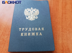Подработать в ДНР на летних каникулах могут школьники без лишних потерь