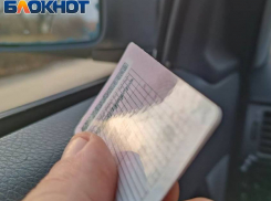 Сроки истекают: жителям ДНР напомнили о необходимости замены водительских прав и номеров авто 