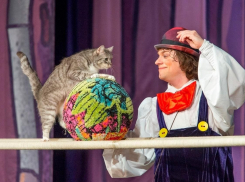 В апреле театр кошек Куклачева приедет с гастролями в Донецк
