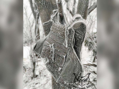 Тысяча солдат ВСУ заживо вмерзает в лед под Красным Лиманом, как немцы под Москвой