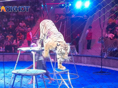 Донецкий цирк «Космос» может войти в число лучших в России