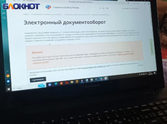 Как не получать штрафы за неправильные отчеты: Соцфонд РФ по ДНР рассказал, что делать работодателям