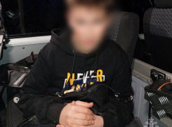 Ребенок упал в болото, убегая от стаи бродячих собак в Енакиево