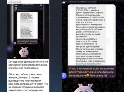 В ДНР опровергли очередной фейк Украины о давлении на избирателей в преддверии выборов Президента России 