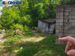 Штрафы не помогут: почему в ДНР на месте ликвидированных свалок тут же растут новые