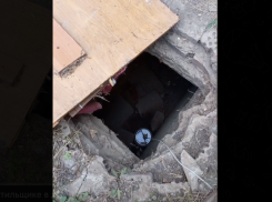 Собак могут заживо замуровать в трёхметровой яме в Донецке