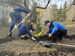 За две недели месячника по благоустройству «Зеленый Донбасс» высадили более 4 тысяч растений