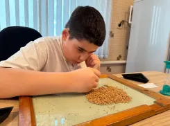 Школьников ДНР научили определять посевные качества семян