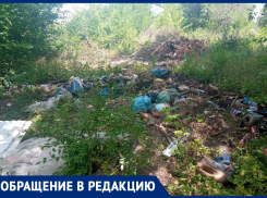 Стихийная свалка образовалась возле детского сада в Юнокоммунаровске ДНР: дети хотят дышать