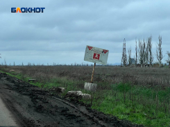 Разминирование сельскохозяйственных полей в ДНР может занять до 22 лет