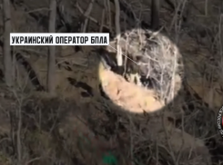 На окраинах Константиновки «Горыныч» ФСБ разгромил украинские ДРГ