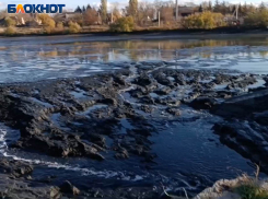 Что осталось от Тепличного пруда в Буденновском районе Донецка после сброса воды
