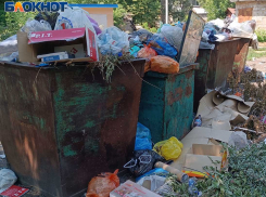 Грязно и пожароопасно: мусорные свалки захватывают Кировский район Донецка