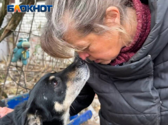 Пушистое ПВО: собака Нора из Авдеевки спасает людей перед вражескими обстрелами 