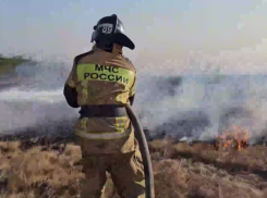 Крупный пожар в Амвросиевском районе ликвидировали сотрудники МЧС 