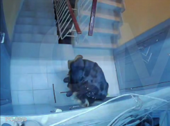 Бабушка в многоэтажке Донецка терроризирует соседей и грозится расправой из-за «шума»