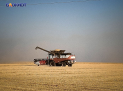 В засуху донецким аграриям удалось вырастить и собрать 358 тысяч тонн зерна высокого качества