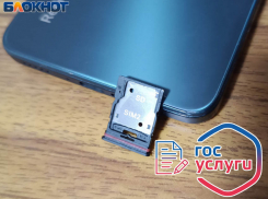 Уж конец мая: «Феникс» уже в «Госуслугах», но верификации для третьих лиц еще нет