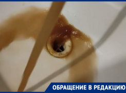 «Такая вот у нас питьевая вода»: житель поселка Новый Свет, ДНР, пожаловался на коричневую жижу из крана