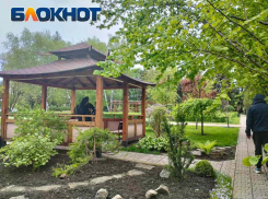 Коллекция Донецкого ботанического сада пополнена на фуру растений – это порядка 300 сортов