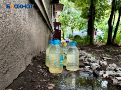 Денис Пушилин рассказал, что спасает Республику от тотальной засухи