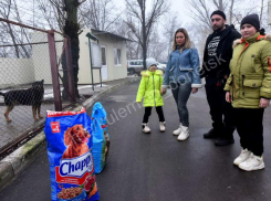 Семья из Донецка прививает детям сострадание и гуманность, помогая приюту для животных «Пиф» 