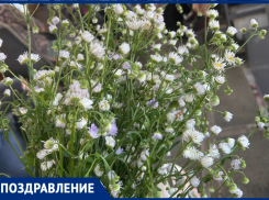 День семьи, любви и верности празднуют сегодня в России