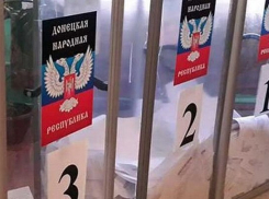 Дистанционного голосования в ДНР на выборах президента РФ не будет: избирком